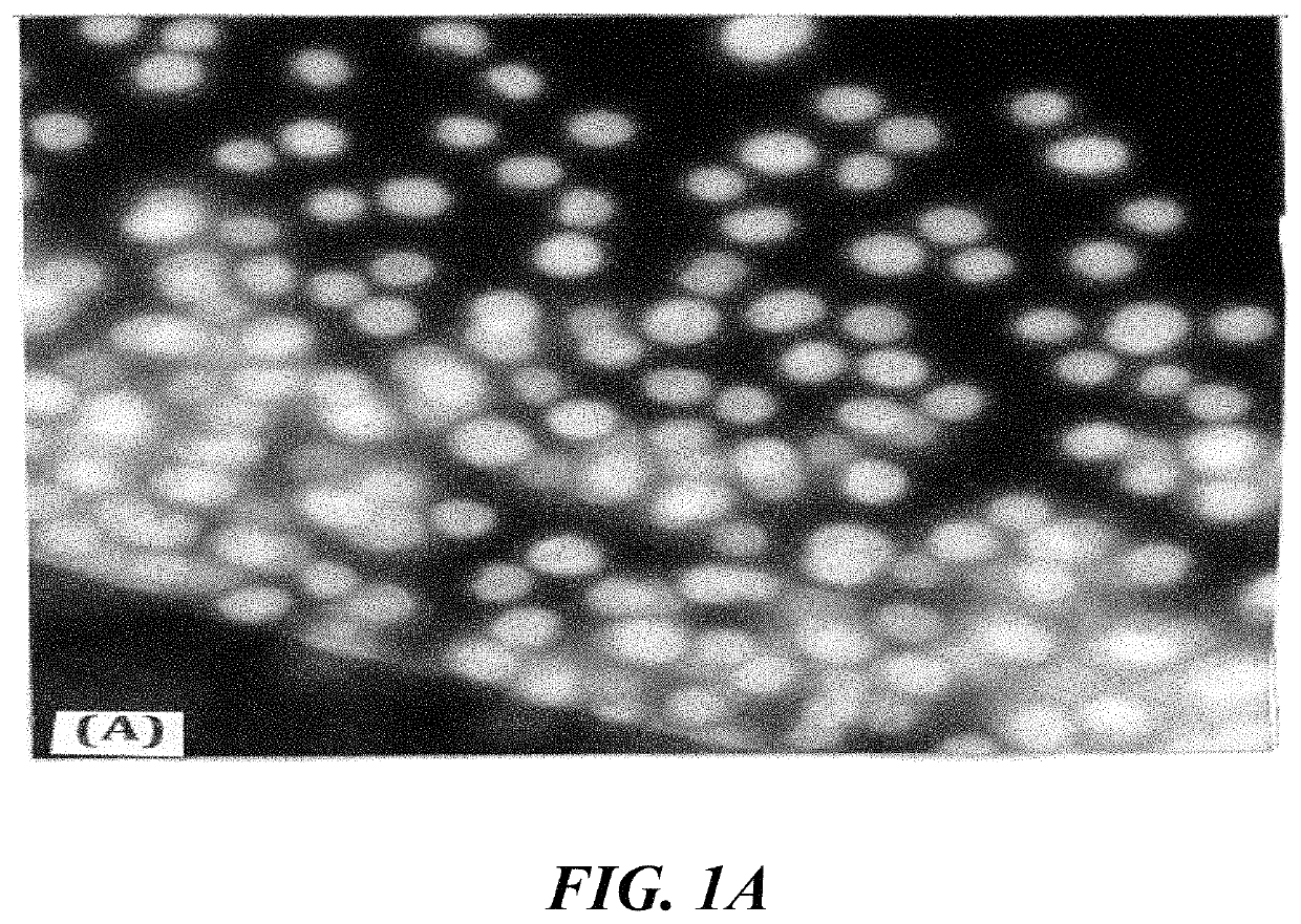 Zinc-charged pancreatic enzymes for treatment of cancer and inflammation