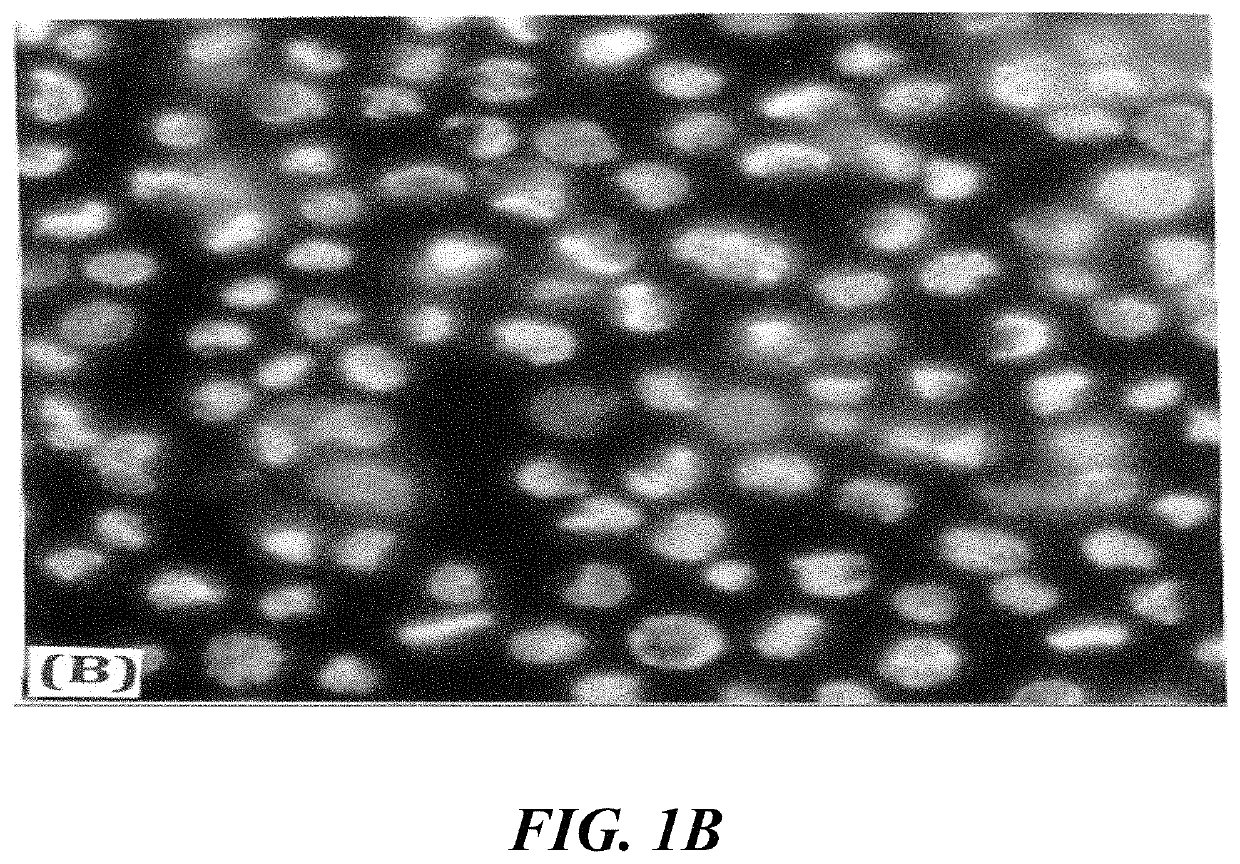 Zinc-charged pancreatic enzymes for treatment of cancer and inflammation