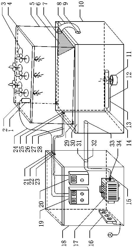 Domestic ultrasonic mist culture device