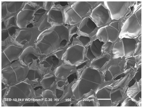 Supercritical fluid continuous extrusion high-performance recyclable PA foam material and preparation method thereof