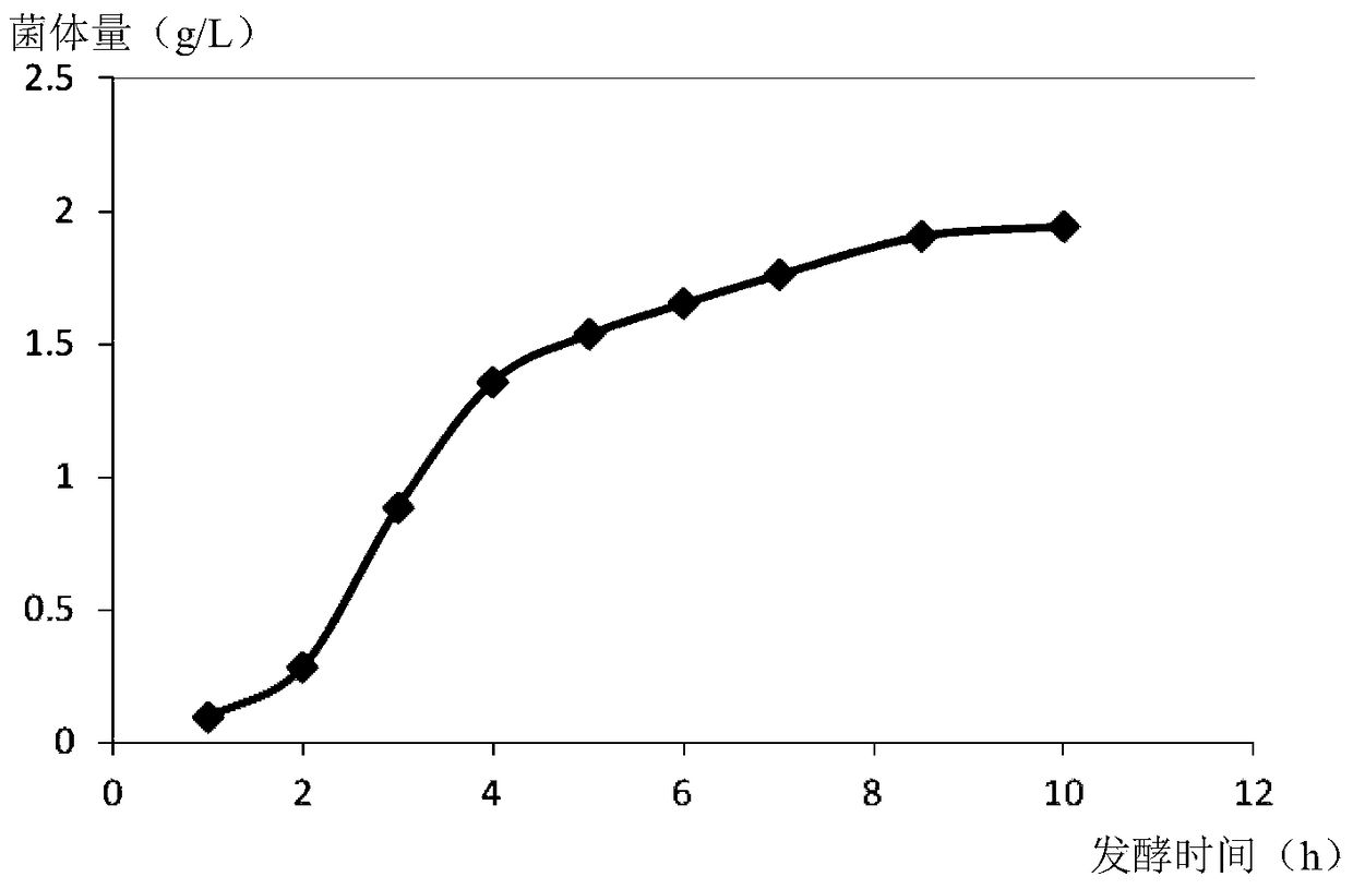 A kind of fermenting process and application of salt ear wood metallothionein protein