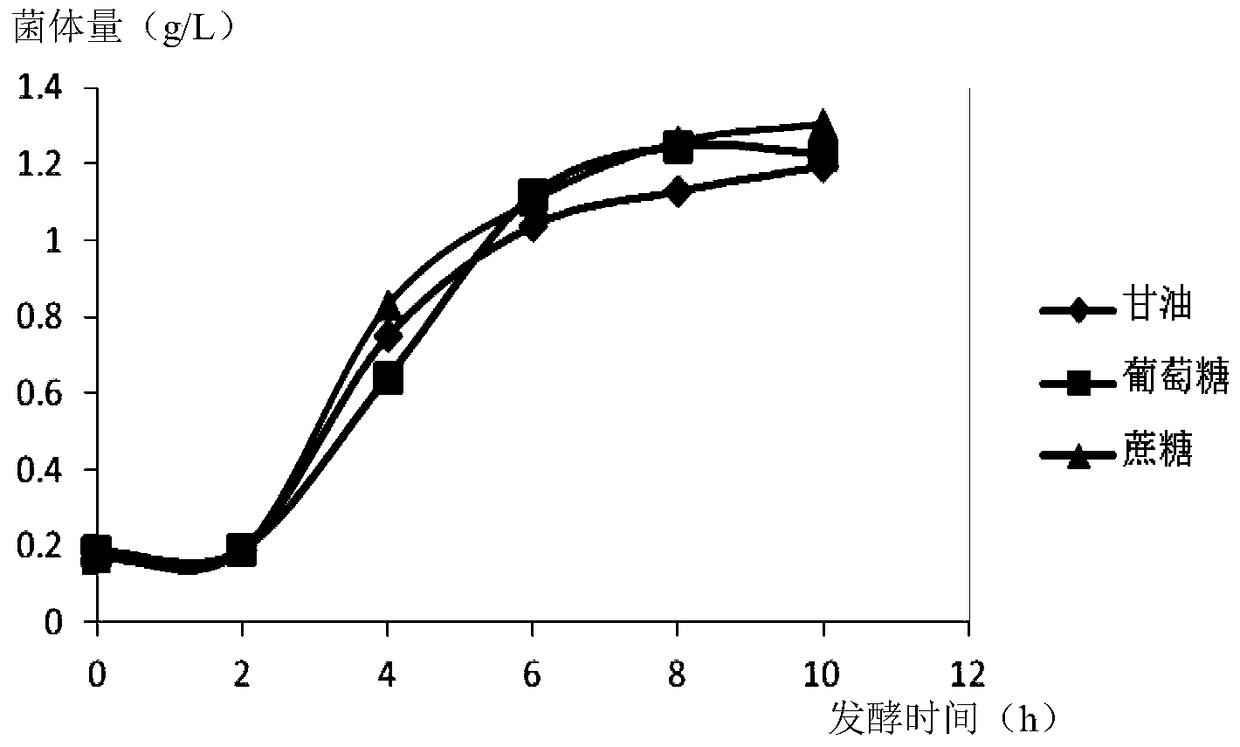 A kind of fermenting process and application of salt ear wood metallothionein protein