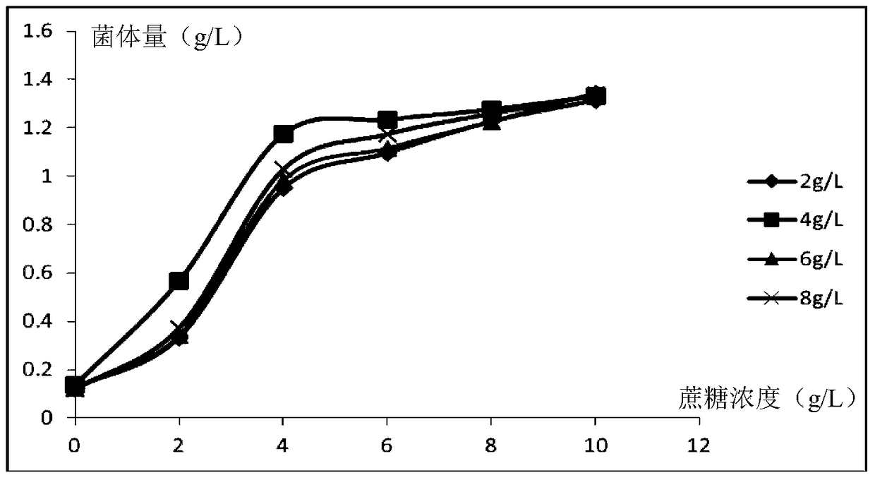 A kind of fermenting process and application of salt ear wood metallothionein protein