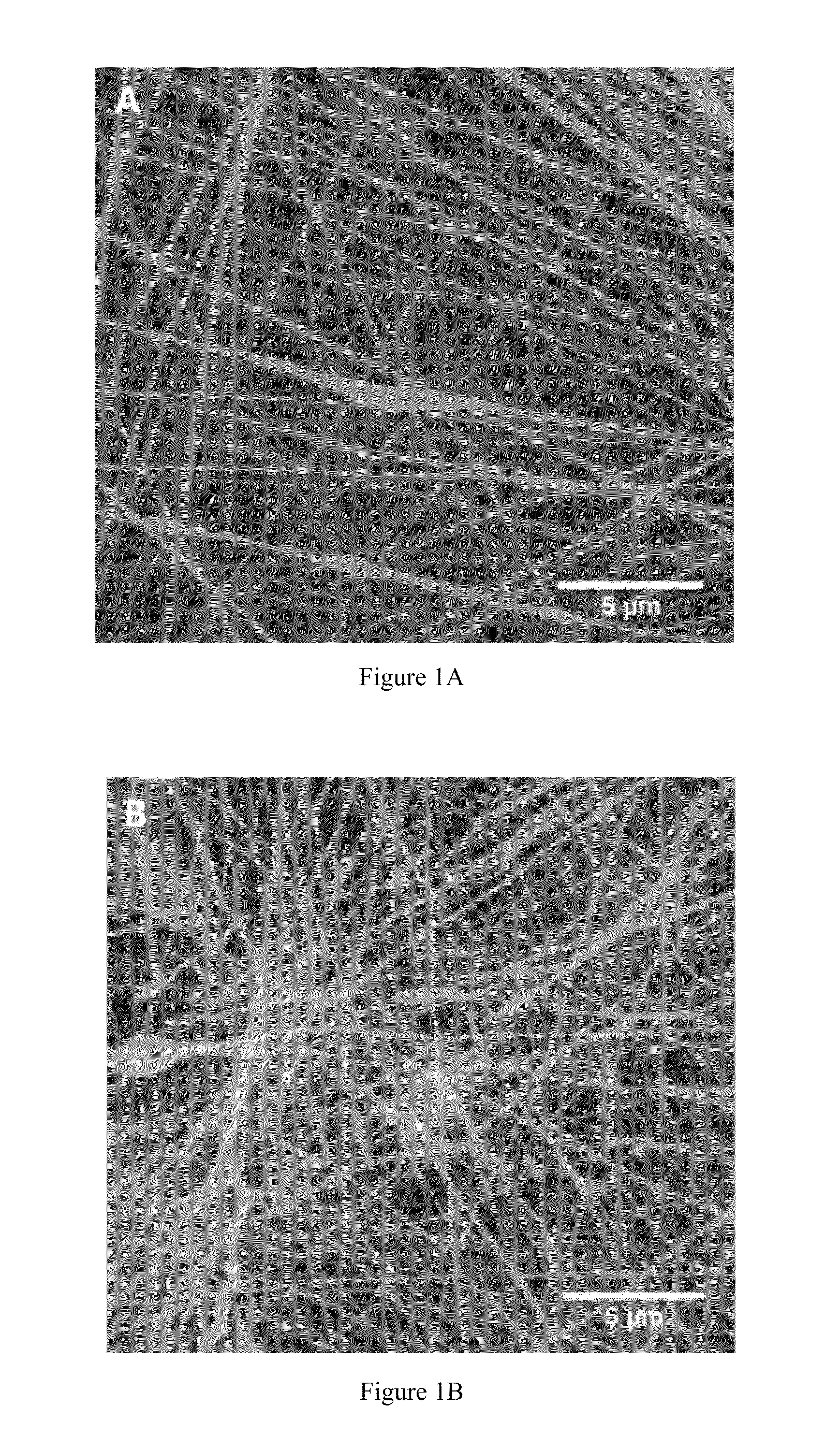 Compositions and methods for making and using laminin nanofibers