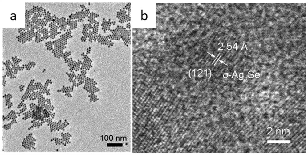 Preparation method of zinc selenide nanowire with controllable composition