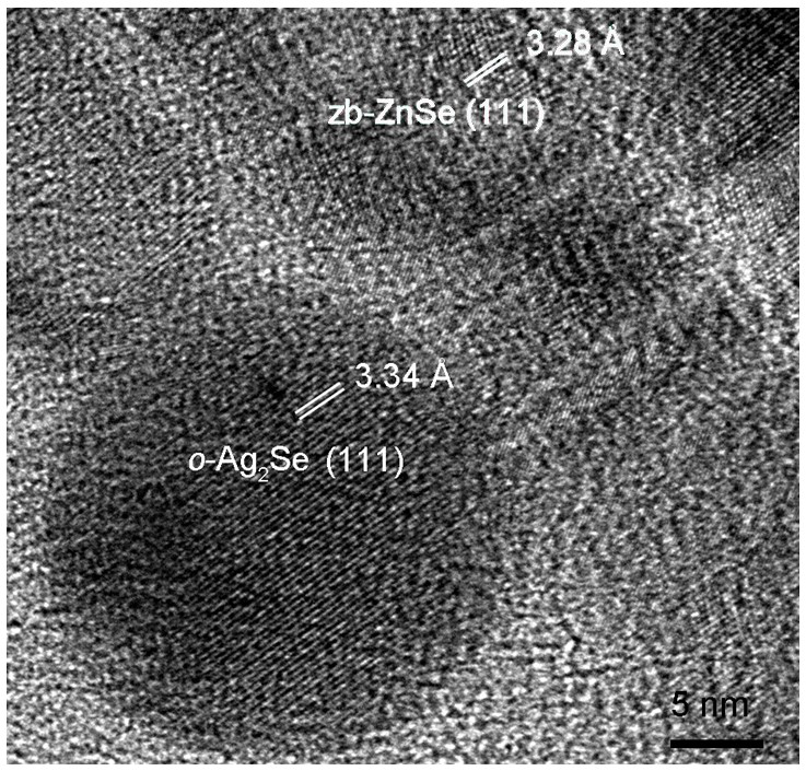 Preparation method of zinc selenide nanowire with controllable composition