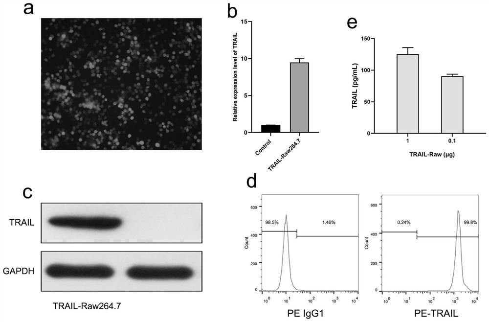 Composite exosome loaded with membrane-bound tumor necrosis factor-related apoptosis-inducing ligand and small-molecule antitumor drug