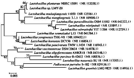 Fermentation method for producing nitrite reductase