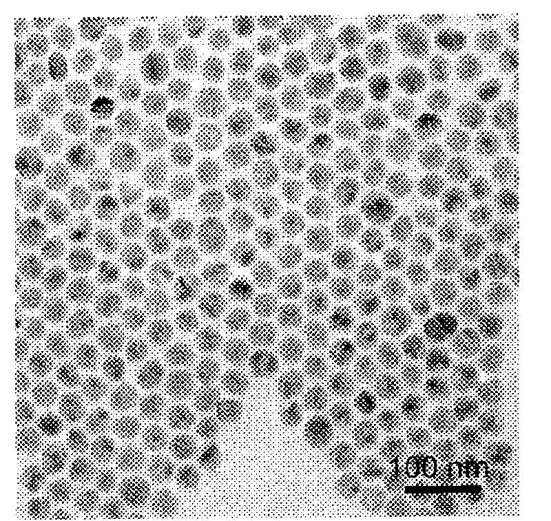 Method for synthesizing arginine-enriched polypeptide-gold nano particle cell transmission carrier