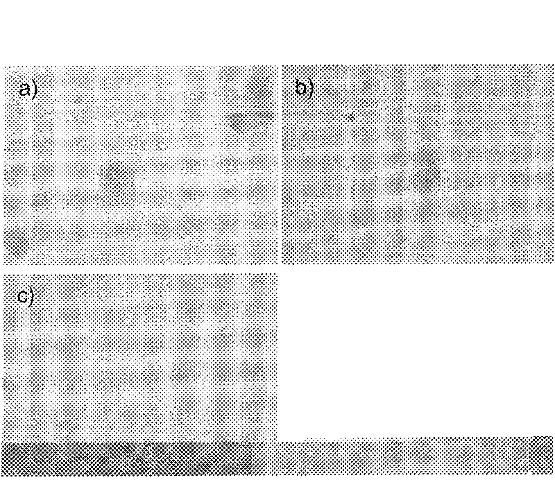 Method for synthesizing arginine-enriched polypeptide-gold nano particle cell transmission carrier