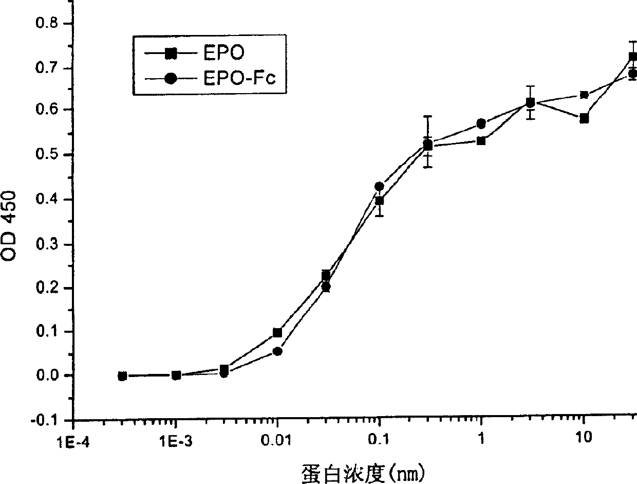 Human erythropoietin Fc fusion protein with high bioactivity