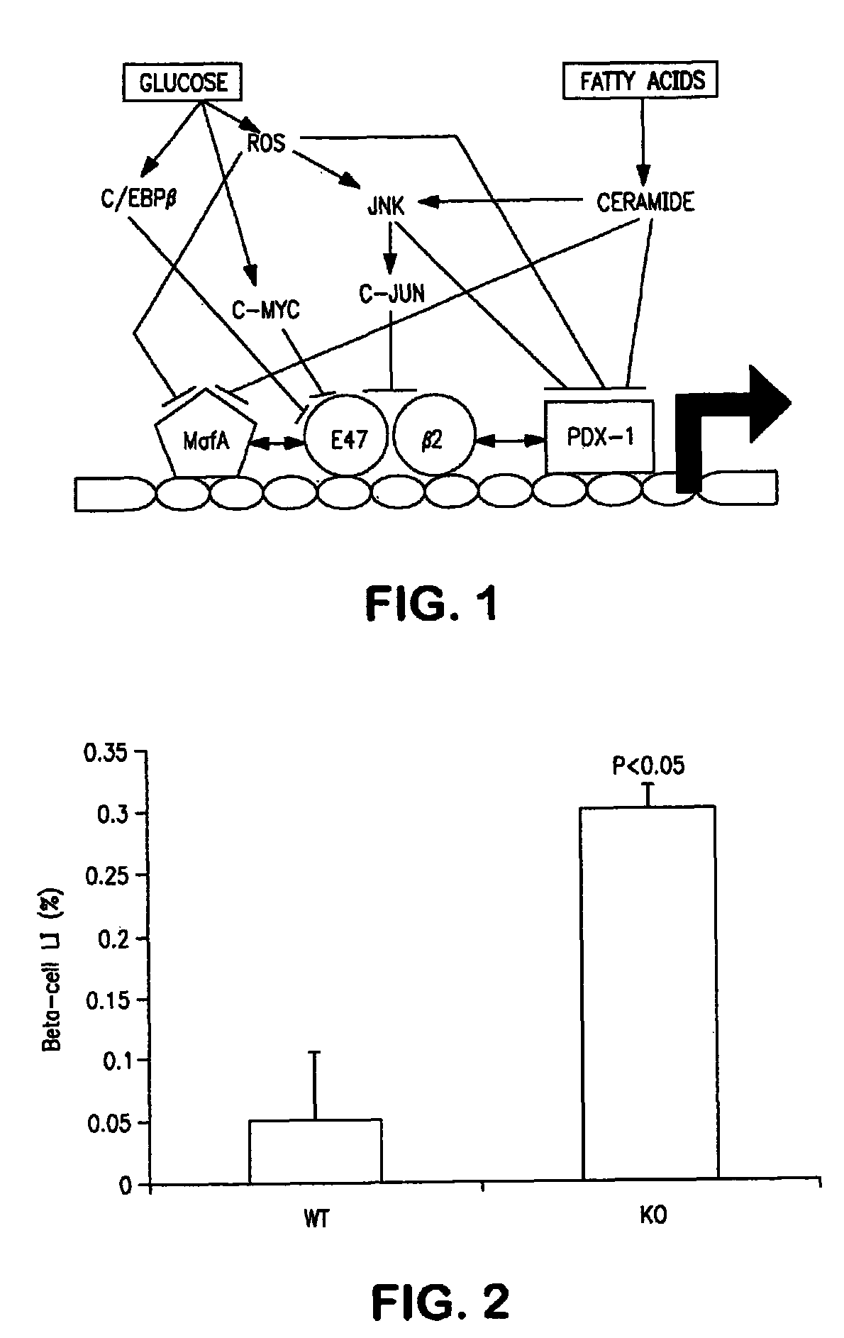 Method for modulating insulin production