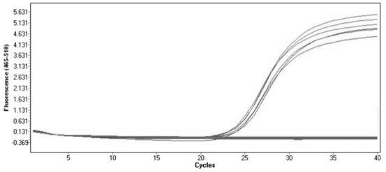 Specific primer for quantitatively detecting transgenic soybean ZH10-6 and method