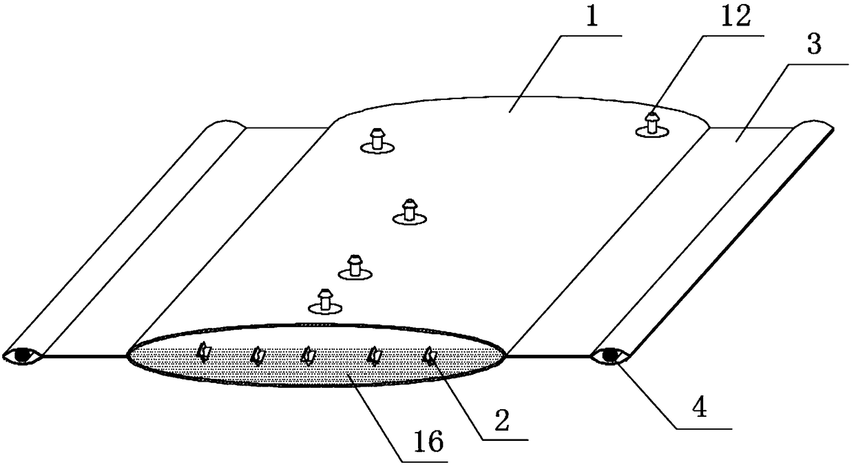 Fluidized-bed cell-culture disposable film device filled with sheet-shaped carriers