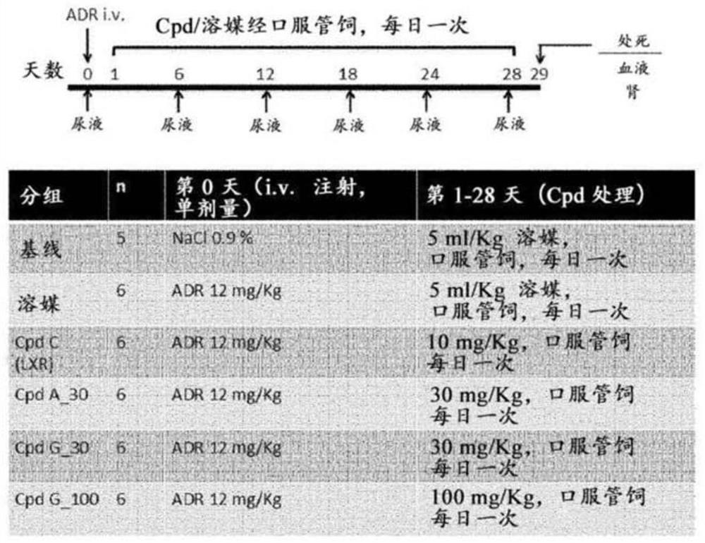 Compounds for use in treating kidney disorders