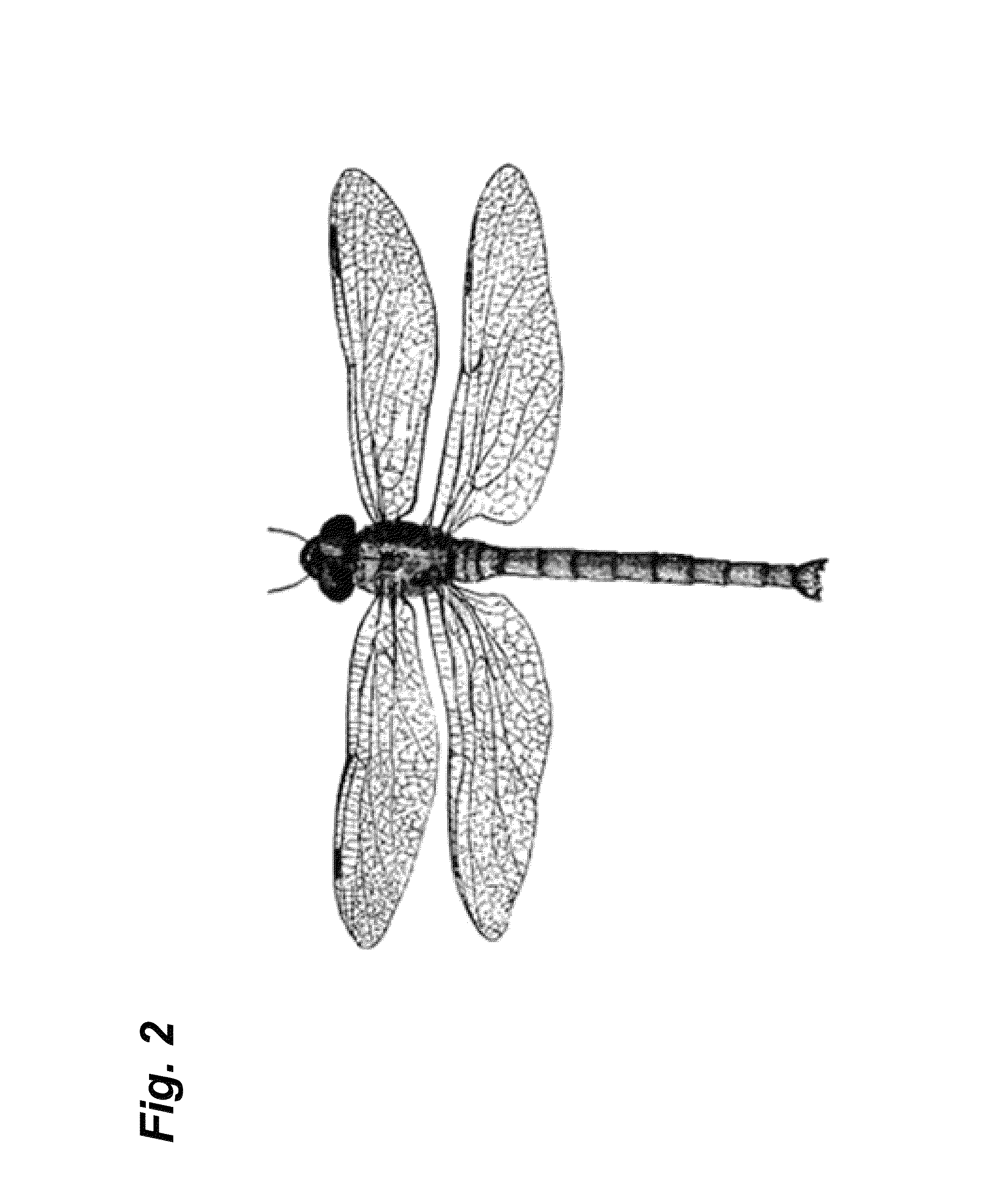 Hovering and gliding multi-wing flapping micro aerial vehicle