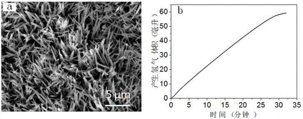 Transition metal phosphide serving as hydrogen preparation catalyst of hydrolysis reaction of borohydride