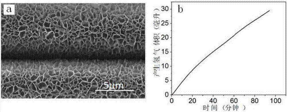 Transition metal phosphide serving as hydrogen preparation catalyst of hydrolysis reaction of borohydride