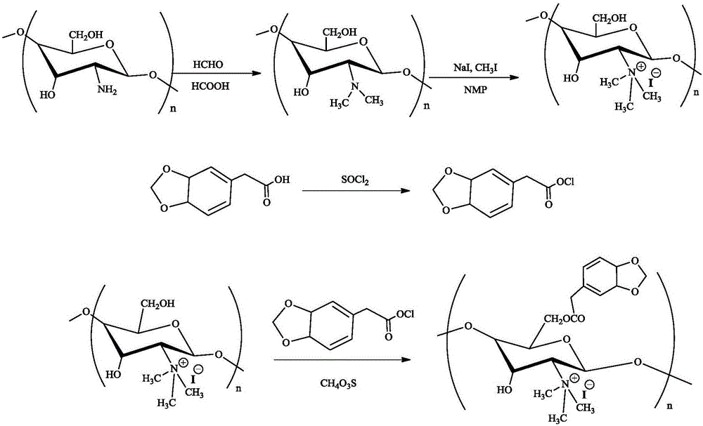 Preparation and application of O-3, 4-methylenedioxy phenylacetate-N-trimethylchitosan quaternary ammonium salt
