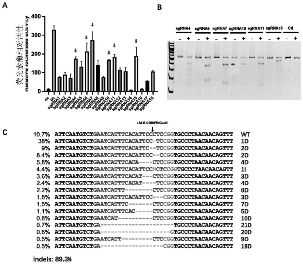 A product for the treatment of hemophilia b