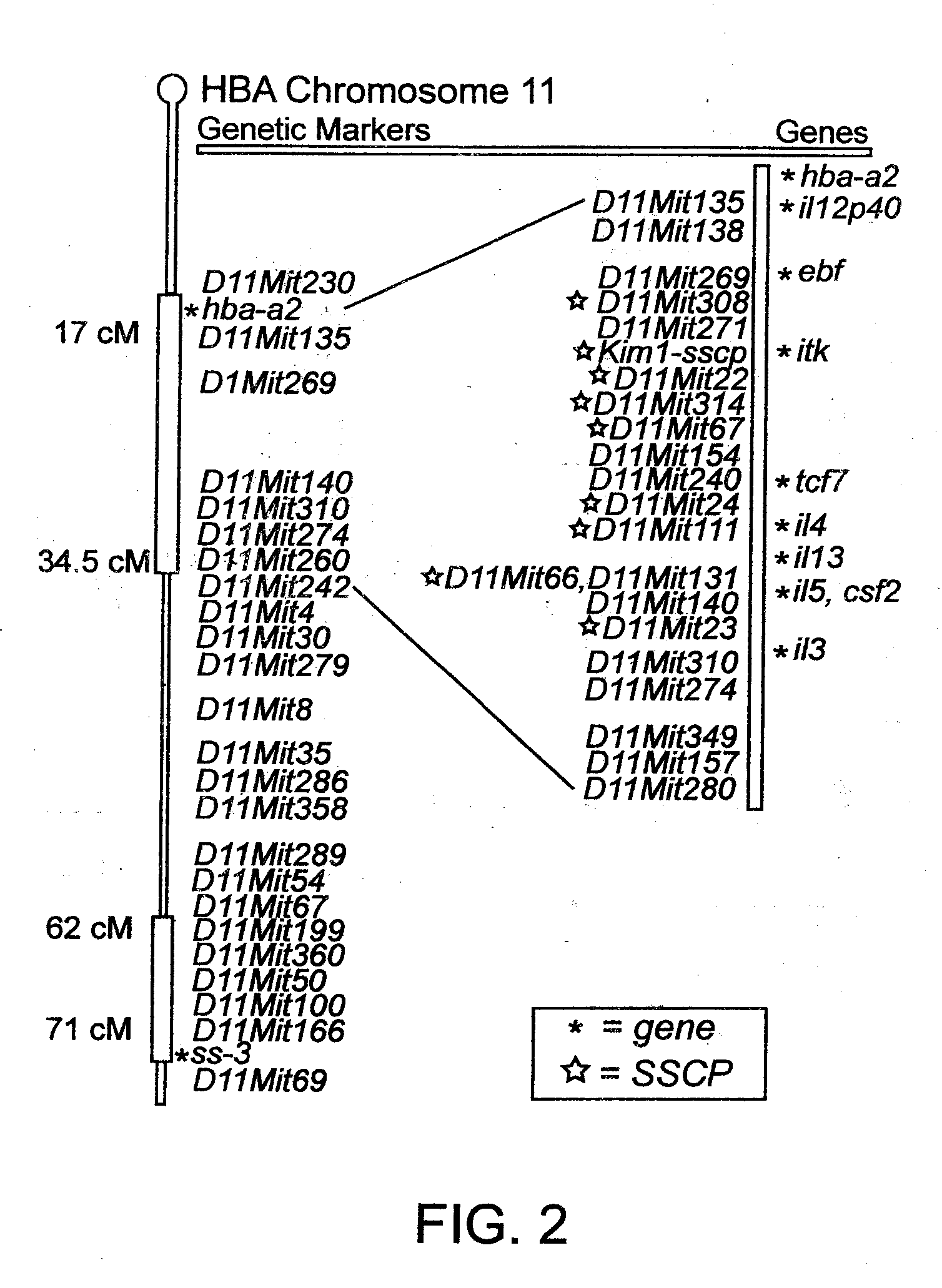 T Cell Regulatory Genes And Methods Of Use Thereof