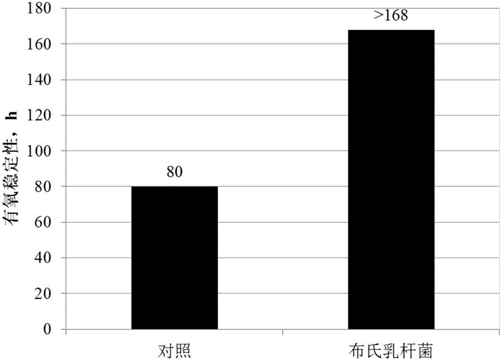 Lactobacillus buchneri inoculant as well as preparation method and application thereof