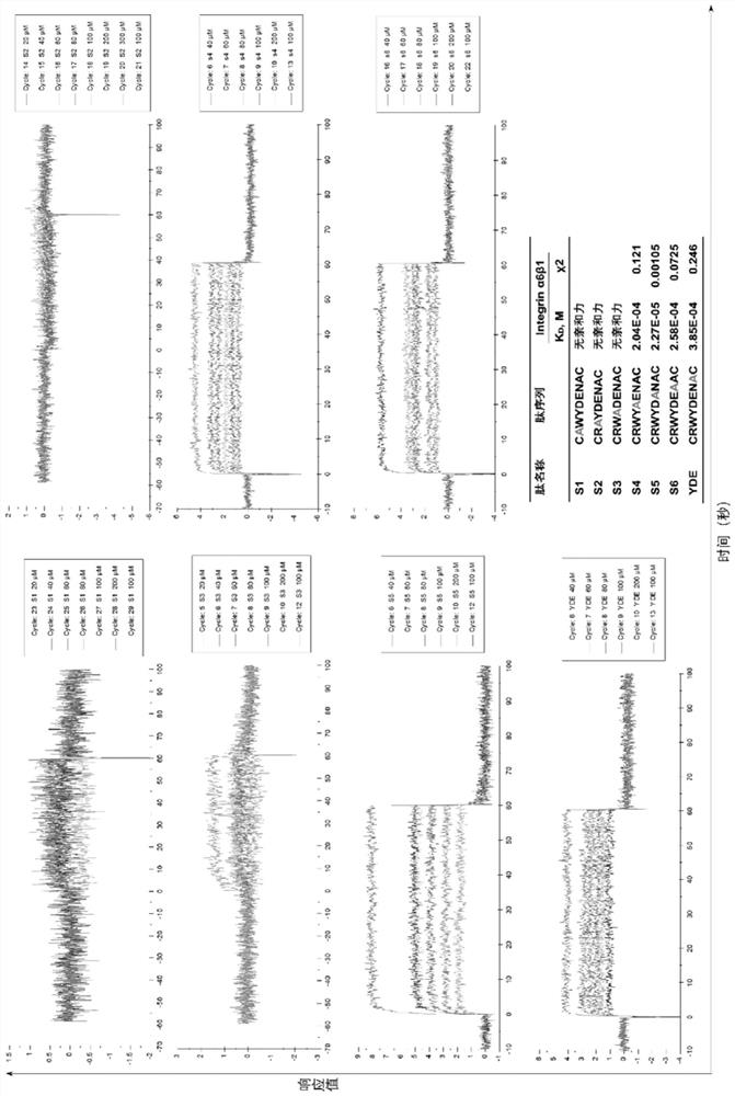 Integrin α6 targeting polypeptide and its application