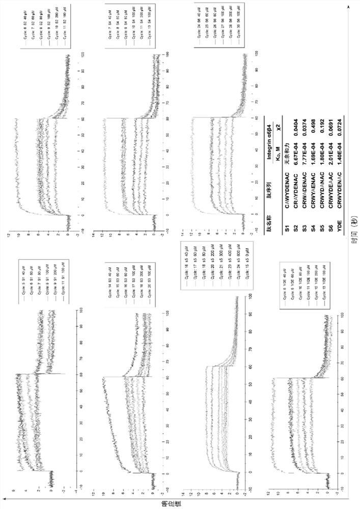 Integrin α6 targeting polypeptide and its application