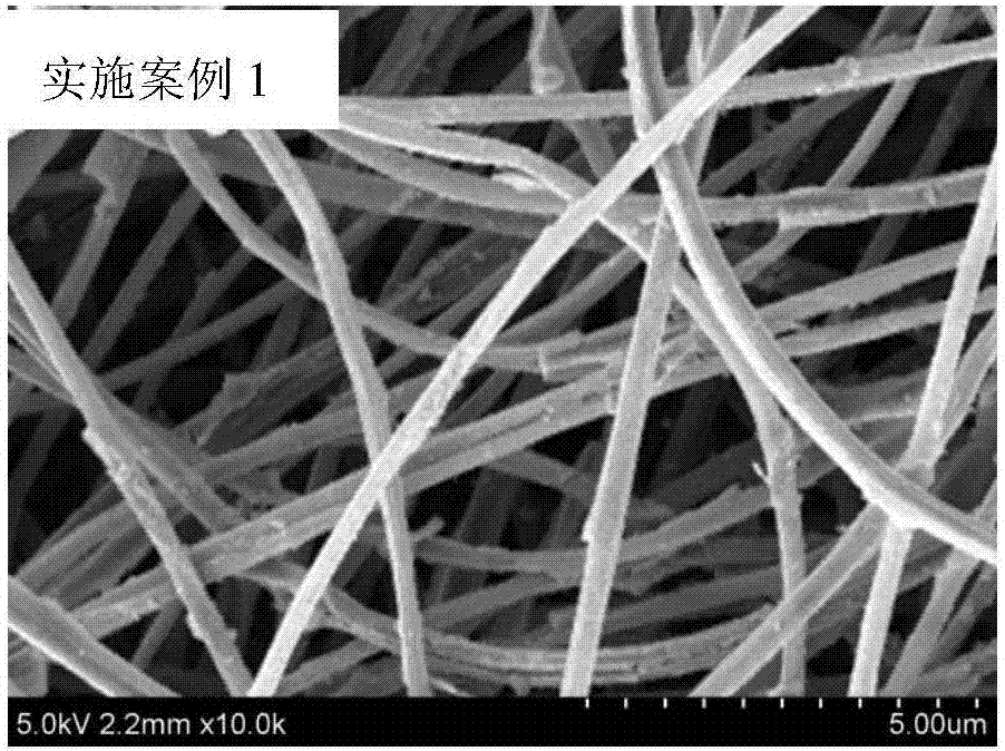 TiO2-carbon fiber composite photocatalyst used for high salinity wastewater organic pollutant treatment and preparation thereof