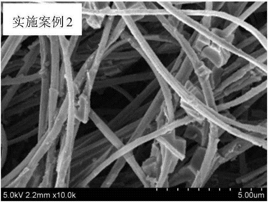 TiO2-carbon fiber composite photocatalyst used for high salinity wastewater organic pollutant treatment and preparation thereof