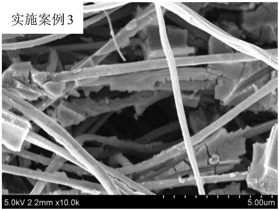 TiO2-carbon fiber composite photocatalyst used for high salinity wastewater organic pollutant treatment and preparation thereof