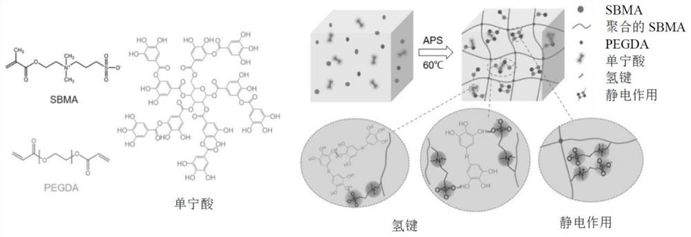 A composite hydrogel for diabetic foot wound dressing, its preparation method and application