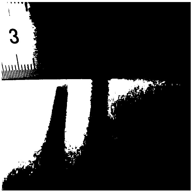 Preparation method of silicon carbide ceramic hollow fiber membrane reinforced and toughened by silicon carbide whiskers