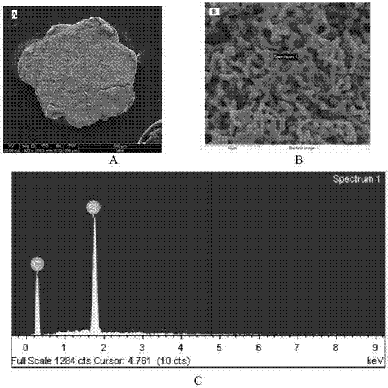 Graphite complex and preparation method thereof