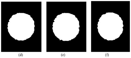 Multi-threshold ultrasonic image segmentation method based on differential search algorithm