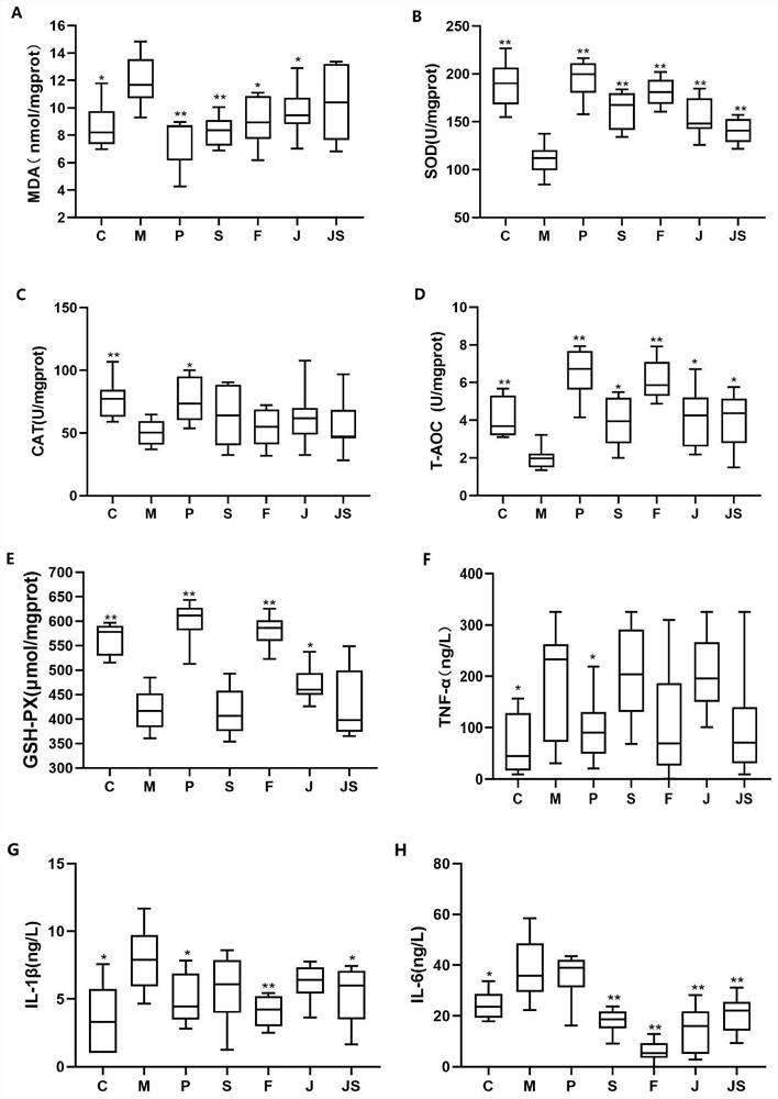 Angelica sinensis fermentation liquor with effects of resisting oxidation, resisting aging and regulating intestinal flora as well as preparation method and application thereof