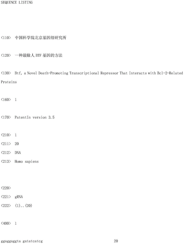 G RNA sequence used for knocking out human BTF gene and knocking-out method thereof