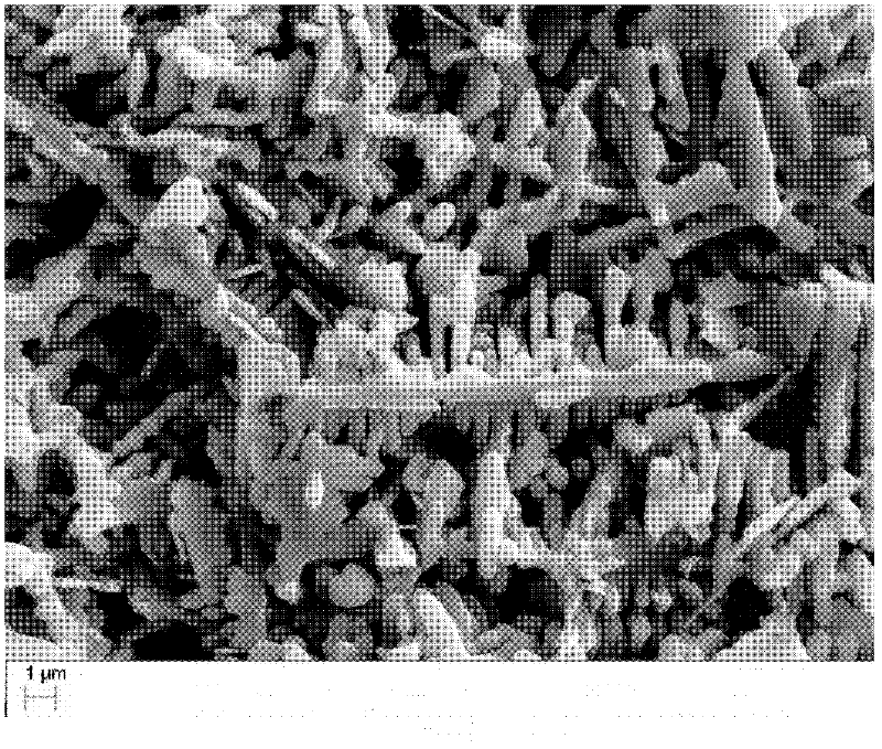 Powder material of high temperature erosion resistant cladding layer and preparation method of cladding layer