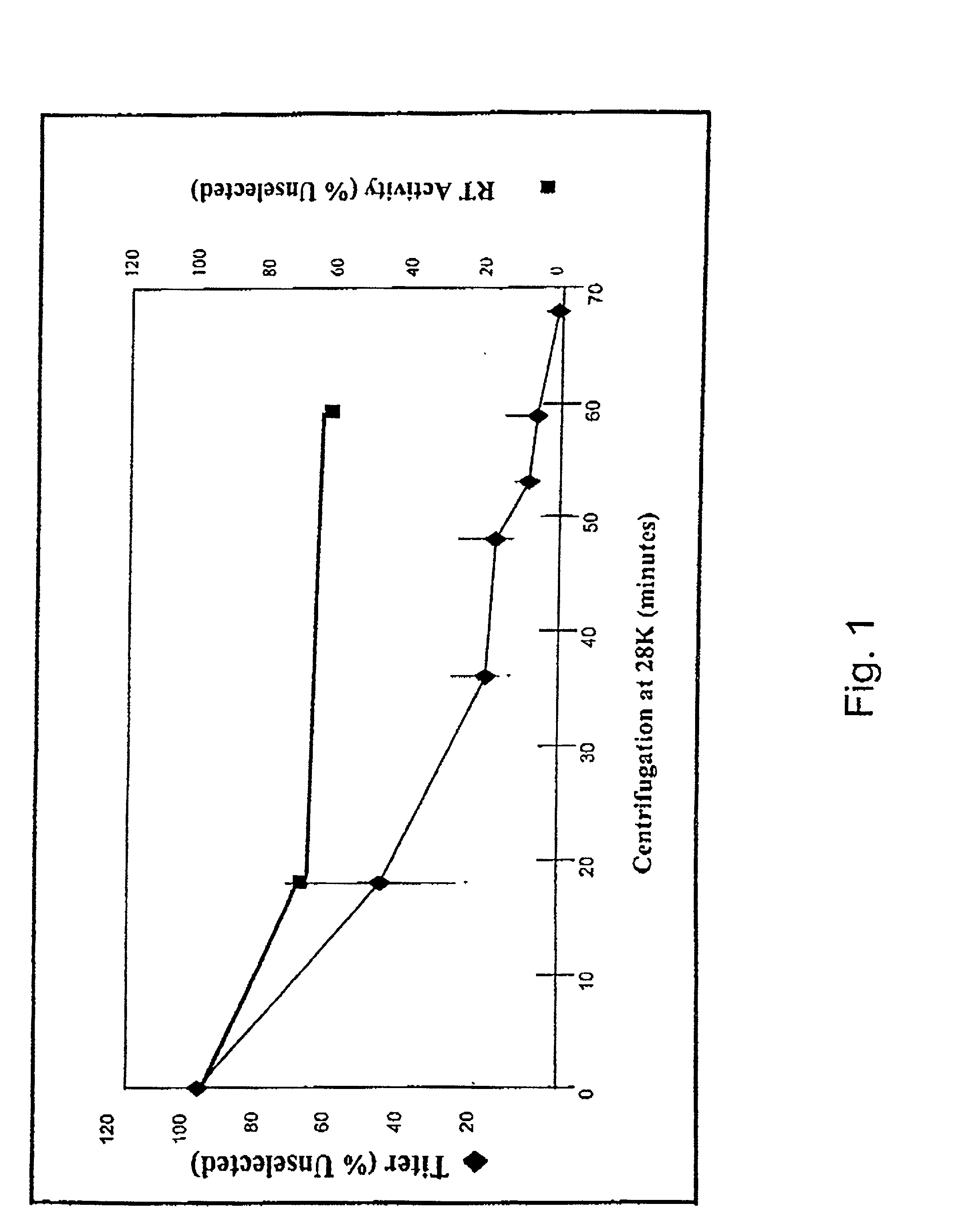 Stress resistant retroviruses