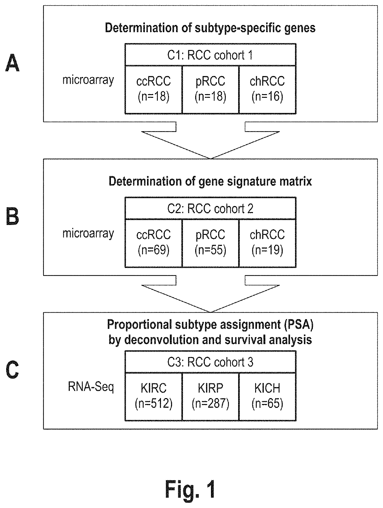 Method for determining rcc subtypes