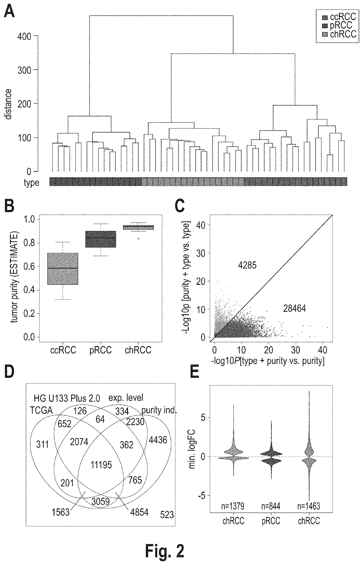 Method for determining rcc subtypes