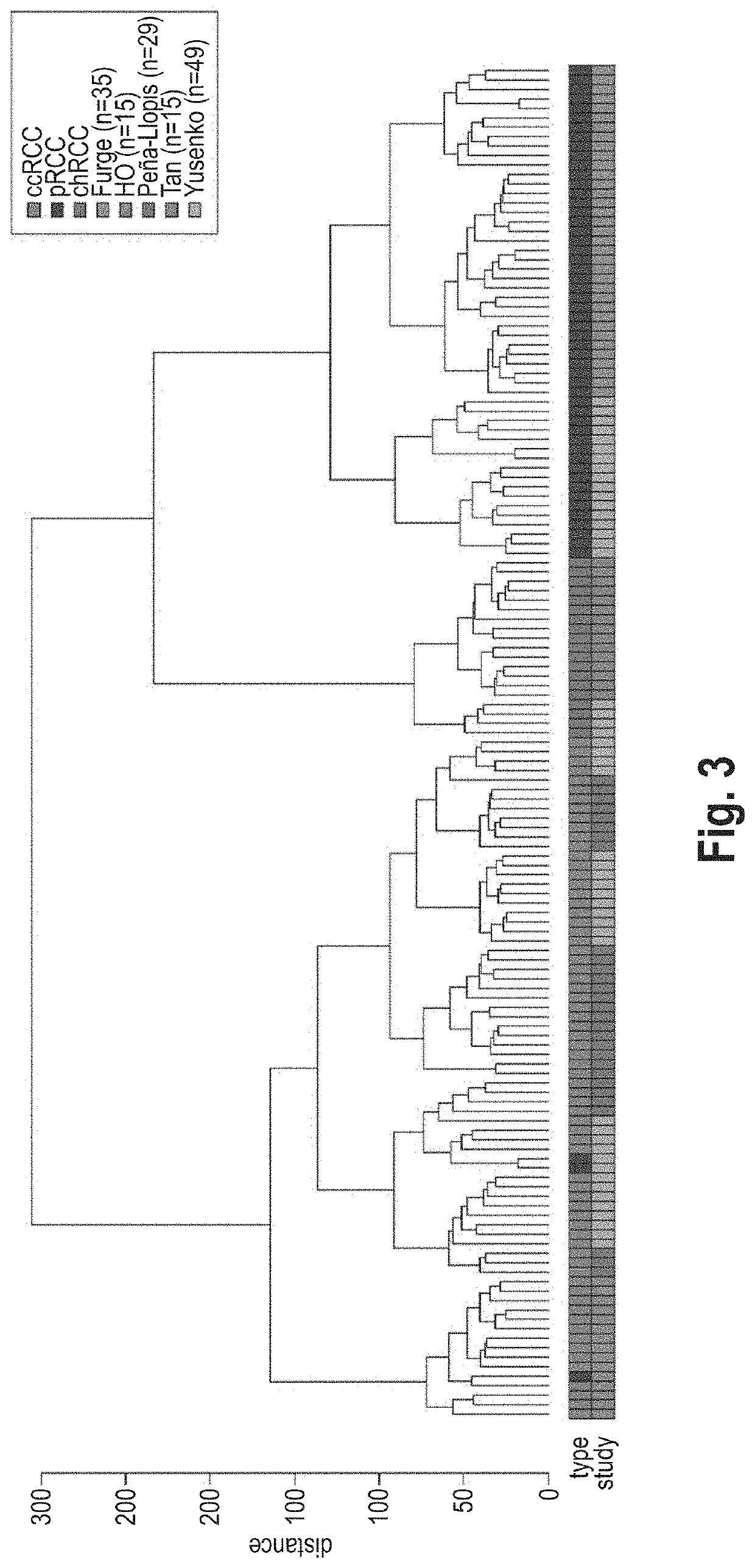 Method for determining rcc subtypes