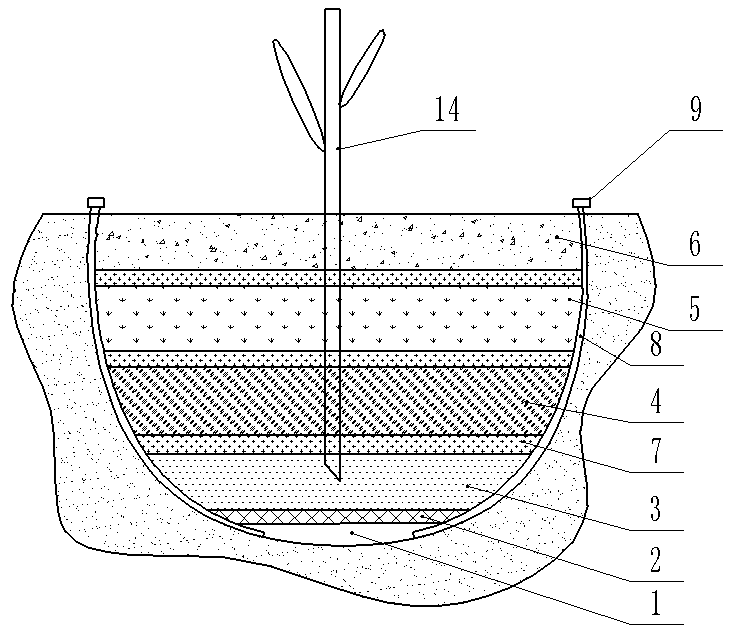 Method for making sapling culture medium