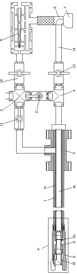 Positive and negative pressure combined plug flow fixed-point sampling device