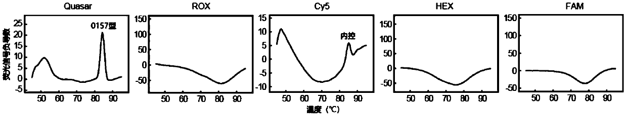 Method for detecting bacterium serotypes