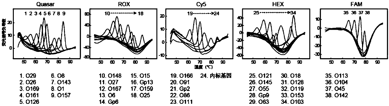 Method for detecting bacterium serotypes