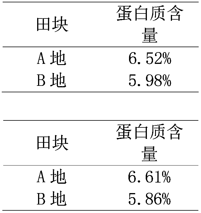 Planting method for increasing protein content of rice and application of planting method