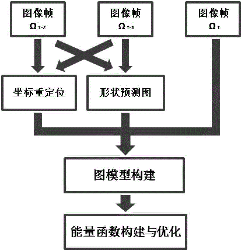 Contour Tracking Method Based on Shape Transfer Joint Segmentation and Graph Matching Correction