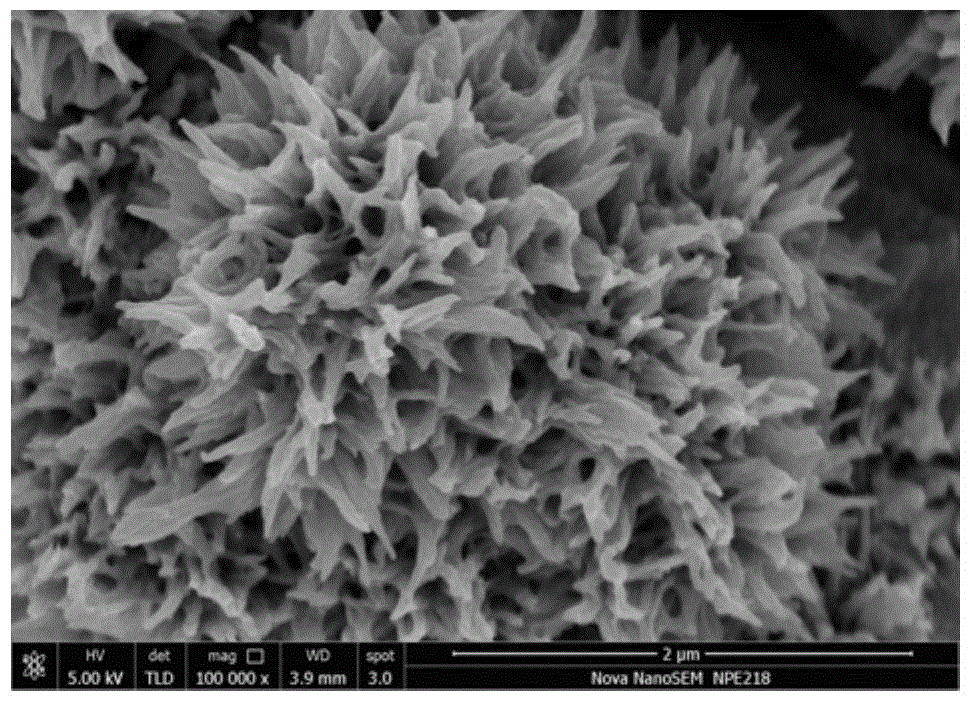 Titanium oxide/tungsten oxide nano-composite film on surface of metallic titanium, preparation and application