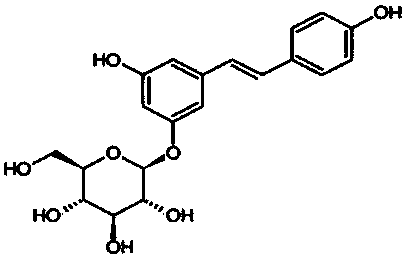 A smear-type water light needle directly reaching the dermis and its preparation method